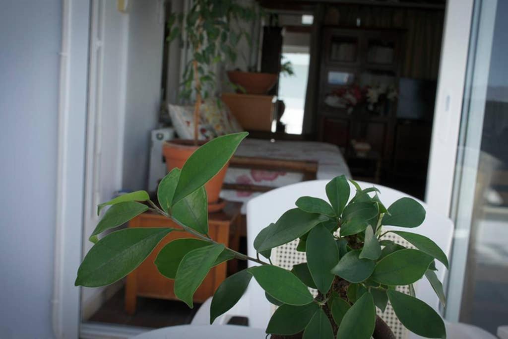 Stavros Amazing Apartment In The Centre Of Kos Екстер'єр фото